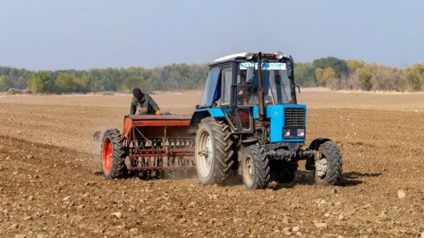 Сельское хозяйство в Казахстане ждет глобальная ревизия, что это значит?