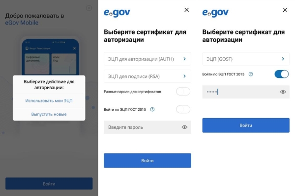 Как войти с ЭЦП нового формата в приложение для сдачи деклараций в Казахстане