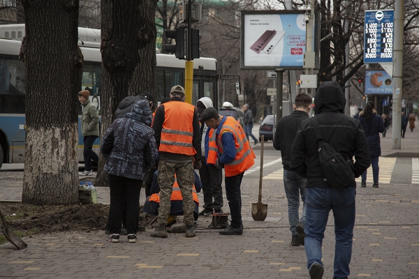 Как сделать политику содействия занятости в Казахстане эффективной?