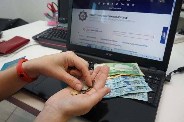 Сколько казахстанцев уже сдали декларации о доходах и имуществе