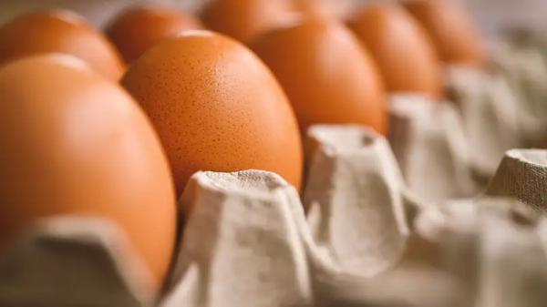 Россия попросила Казахстан помочь ей яйцами
